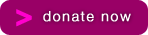 Donate-Now--Buttons-2